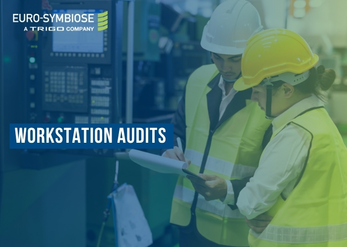 Workstation Audits