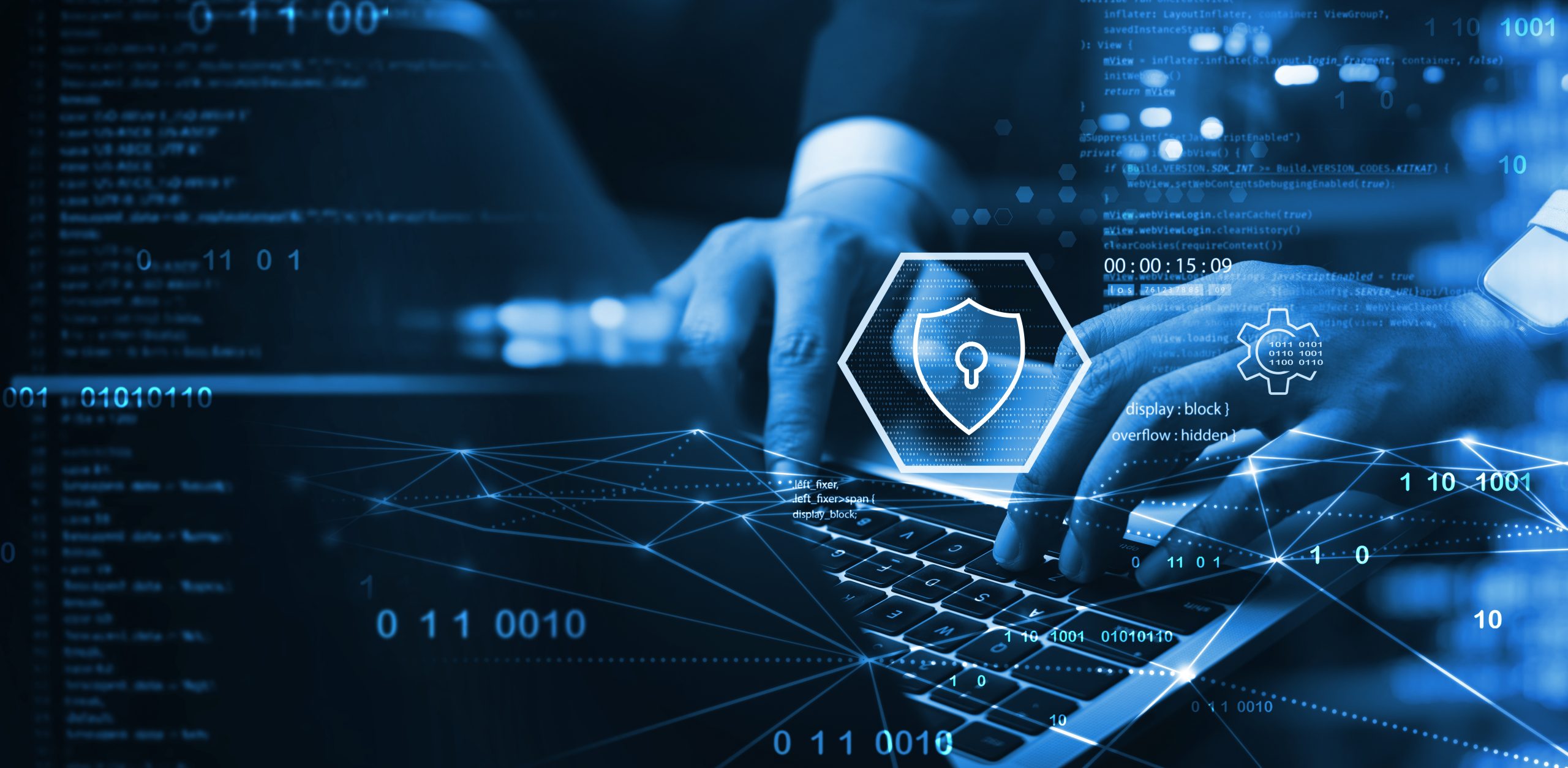 Introduction to cybersecurity – #270